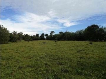 Se vende terreno en Cerro Cama