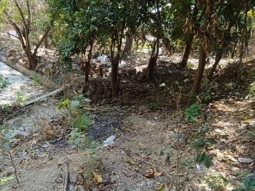 SE VENDE TERRENO EN EL COLOSO, ACAPULCO