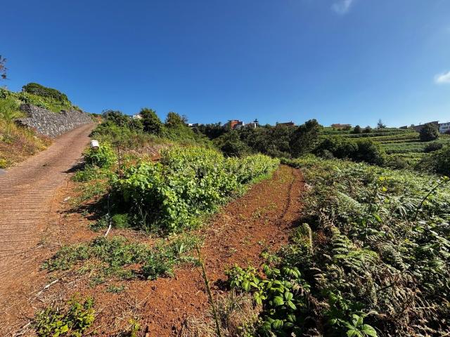 Se Vende Terreno en El Sauzal