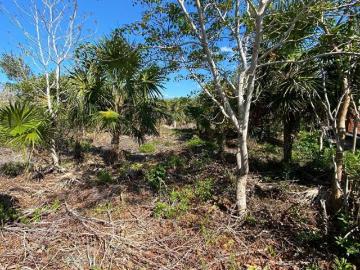 Se vende Terreno en Holbox con proyecto