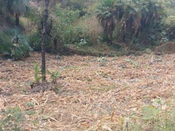SE VENDE TERRENO EN JARDÍN JUÁREZ