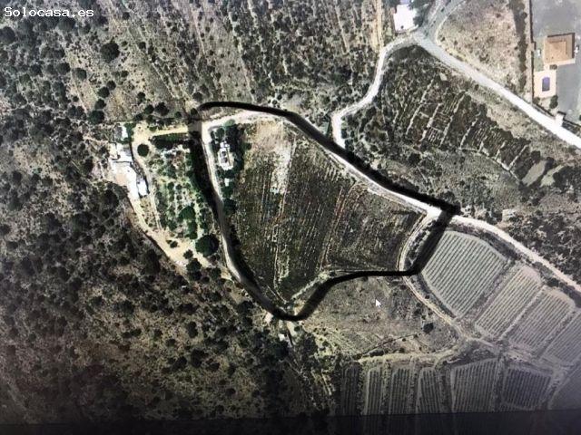 Se Vende Terreno en la Serreta Novelda Alicante
