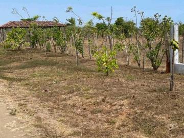 SE VENDE TERRENO EN POCRÍ 1449 m² LOS SANTOS