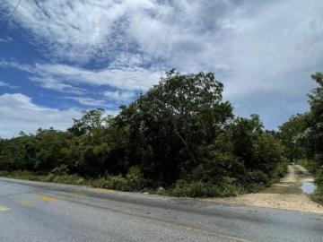 Terreno en Venta de 5000m² en Calle Rogelio Castorena, Cancún
