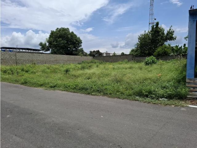 SE VENDE TERRENO EN SABANA DE MENDOZA. VE22 393MZA KGAR