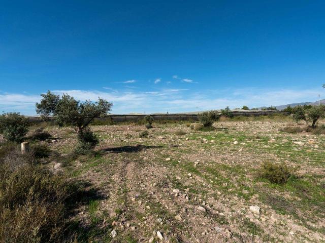 Se Vende Parcela Agraria en San Isidro Nijar