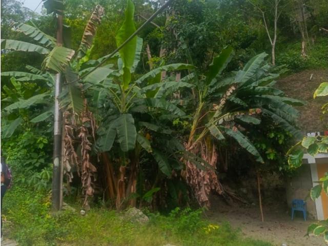 SE VENDE TERRENO EN SECTOR AGUA CLARA. VE22 390AGC MSUA