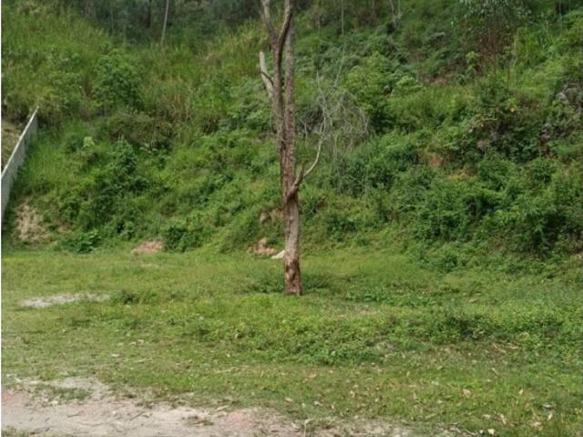 Se vende Terreno En Sector Santa Isabel En Avp, Colinas De Carrizal