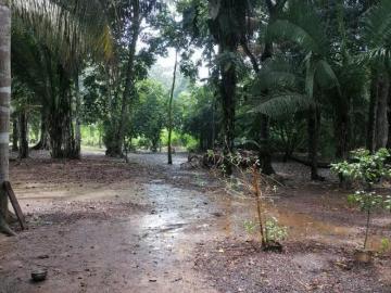 Se Vende Terreno En Tambopata 1 Hectarea Corredor Turistico