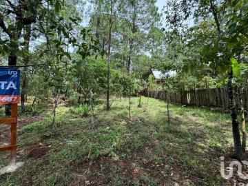 se vende terreno en teopisca