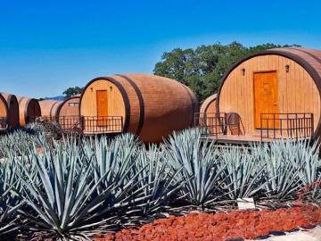 Terreno agrícola en venta en Tequila, Jalisco |1 Hectarea para Agave