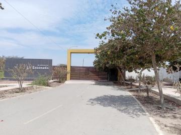 Se Vende Terreno En Urb La Ensenada VI Pimentel J. VIGO