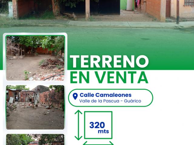 SE VENDE TERRENO EN VALLE DE LA PASCUA, VE01 0015EG LUHER/KMAR
