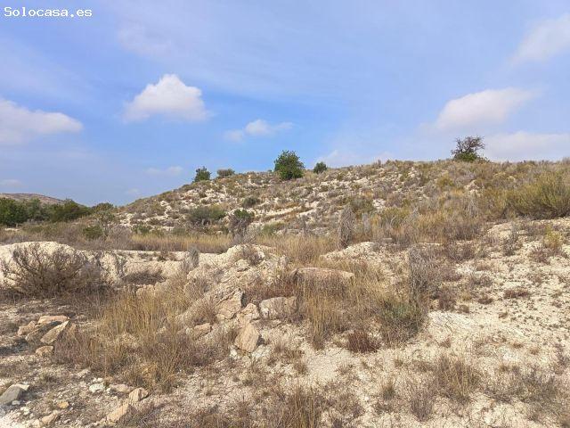 SE VENDE TERRENO GRANDE PARA INVERSION 36000 CUADRADOS