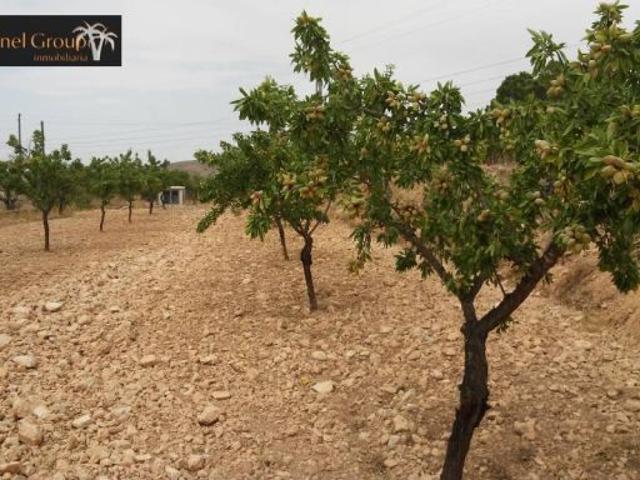 SE VENDE TERRENO HONDON DE LA NIEVES