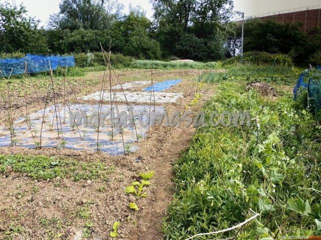 Se vende terreno industrial en el Valle de Trapaga