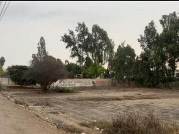 SE VENDE TERRENO INSCRITO EN SUNARP UBICADO EN PANAMERICANA SUR KM 204 CHINCHA BAJA