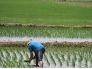 Se vende terreno para agroindustria y proyectos agrícolas