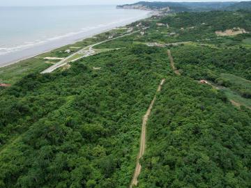 Se Vende Terreno para Desarrollar en la Montaña y Frente al Mar en Canoa