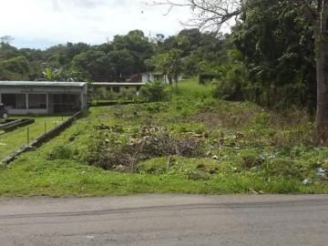 SE VENDE TERRENO PERFECTO PARA DESARROLLO DE PROYECTO RESIDENCIAL