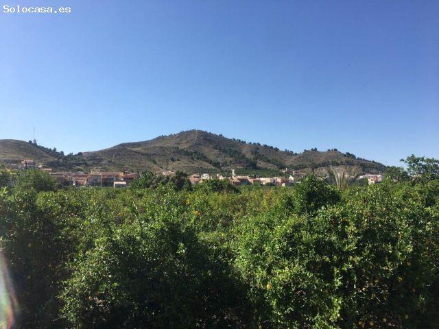 SE VENDE TERRENO PLANTADO DE LIMONEROS
