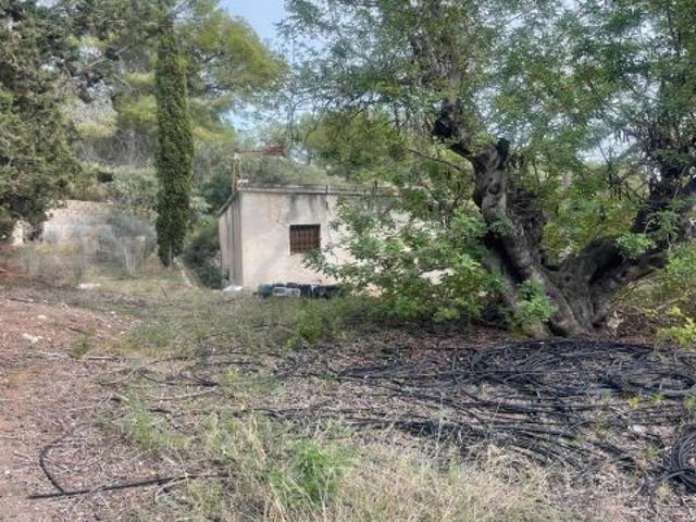 Se vende Terreno Rustico 12,382 m2 con casita