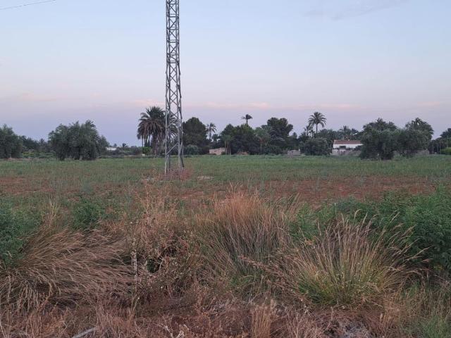 SE VENDE TERRENO RUSTICO CON AGUA DE RIEGO CON GOTEO