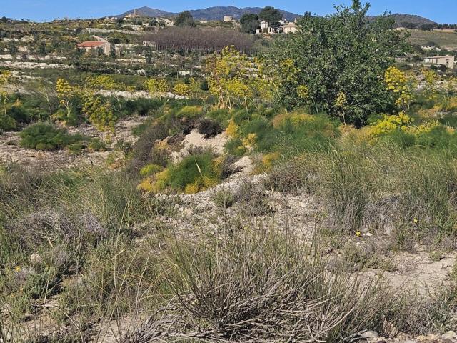 Se vende terreno rústico de 6.700 m2 en Corvera