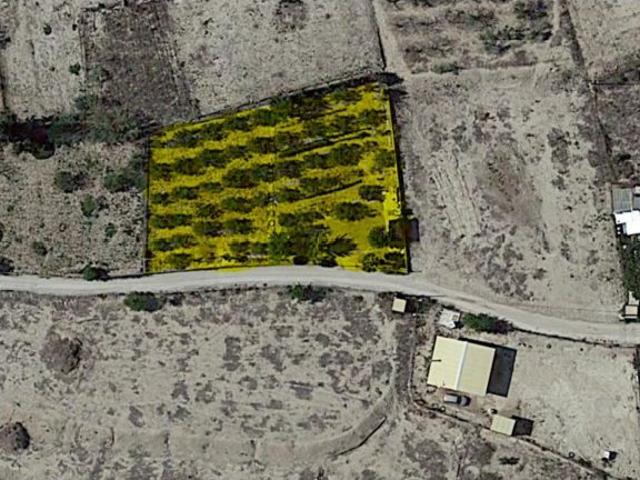 SE VENDE TERRENO RUSTICO EN CAMPOS DEL RIO, MURCIA