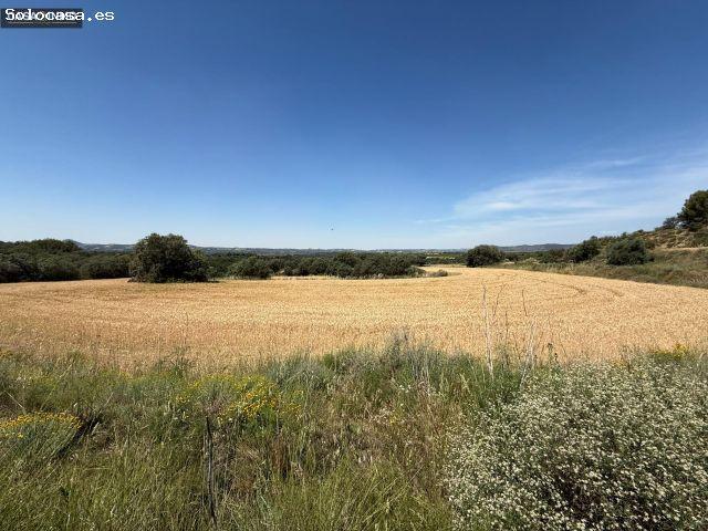 Se vende terreno rustico en Burceat