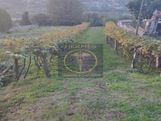 Se vende terreno rústico en Redondela, Saxamonde
