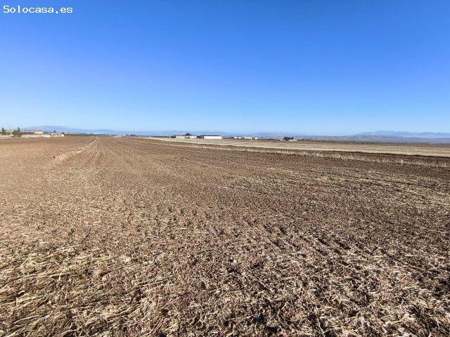 SE VENDE TERRENO RÚSTICO EN VENTAS DE HUELMA – 20.000 m²