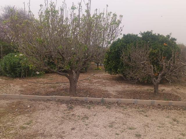 SE VENDE TERRENO RURAL EN LA RIBERA DE MOLINA
