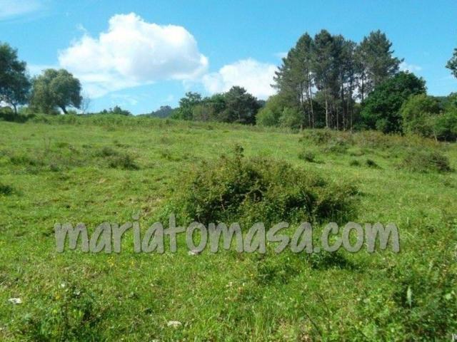 Se vende terreno rural en Laukiz
