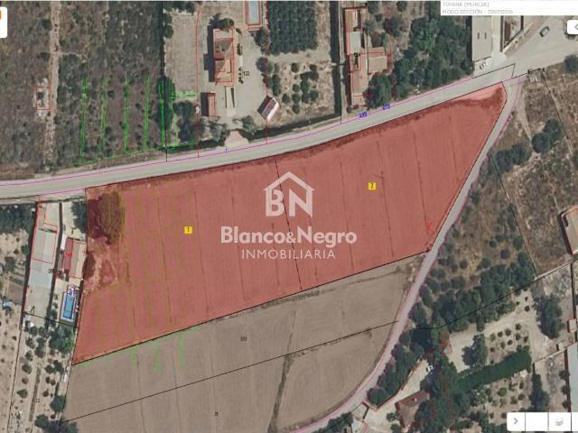 SE VENDE TERRENO URBANIZABLE EN TOTANA – 12.320 m² DIVIDIDAS EN 2 PARCELAS DE 6MIL METROS