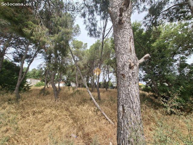 SE VENDE TERRENO URBANO EN LA ZONA DE MONTESOL BÉTERA
