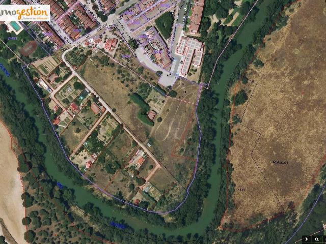 SE VENDE TERRENOS RUSTICOS EN TUDELA DE DUERO
