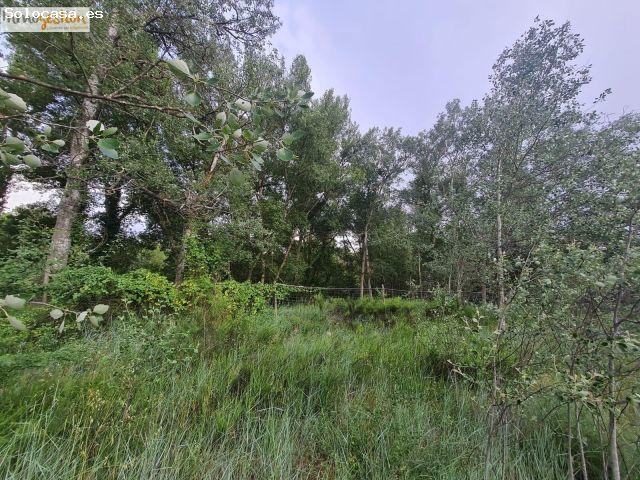 SE VENDE TERRENOS RUSTICOS EN TUDELA DE DUERO