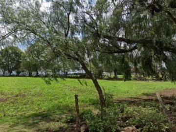 Se vende Agrícola en Cuautepec de Hinojosa
