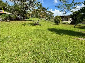 Se vende amplio terreno con cabaña en los nances pradera de utive | 1 recámaras por 55000.00 en Pacora