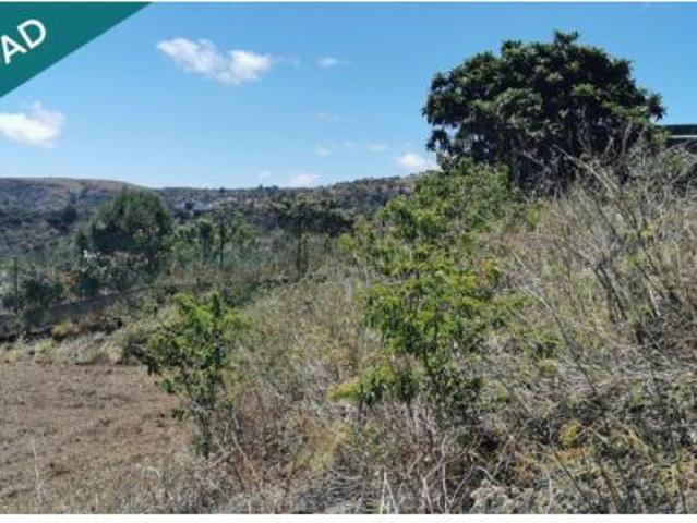 SE VENDE BONITA FINCA RÚSTICA EN LO BLANCO SAN JOSÉ DEL ÁLAMO