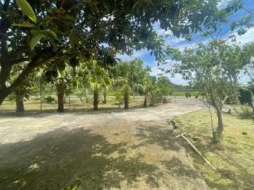 Se vende cabaña en Rincón Largo, La Peña, Veraguas