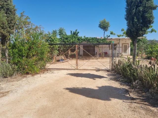 SE VENDE CASA CON TERREN EN CAÑADA DE LA LEÑA ALGUEÑA ALICANTE