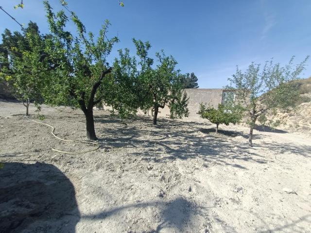 SE VENDE CASA CON PARCELA EN EL RELLANO DE MOLINA DE SEGURA