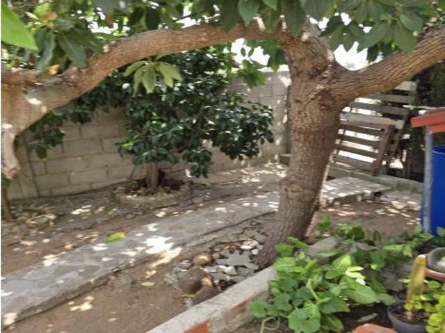 Se vende casa con parcela en la granja
