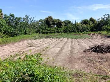 Se Vende Casa De Campo De 1.5 Ha En Salas Guadalupe