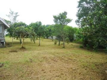 Se vende casa en Paso Ancho, Tierras Altas, Chiriquí | 3 recámaras por 225000.00 en Bugaba