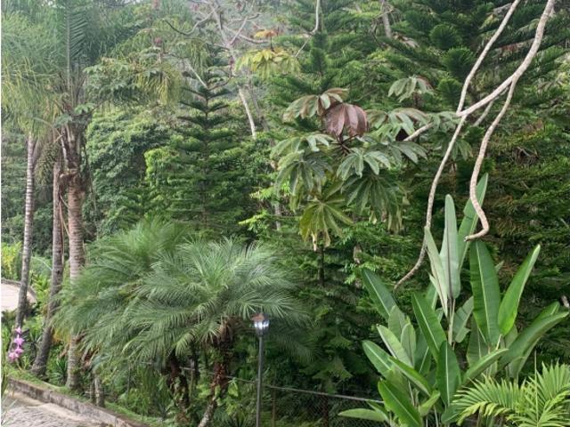 Se vende casa 220m2 3h+s/4b/2p Los Guayabitos 6679