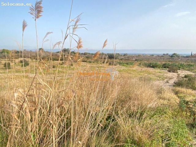 SE VENDE CASITA DE 65 M2 EN PARCELA DE 9000 M2, PARTIDA CACHAPETS !