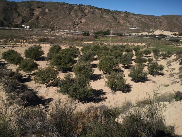 Se vende en Los Gallardos finca rústica en venta junto a la autovía A 92